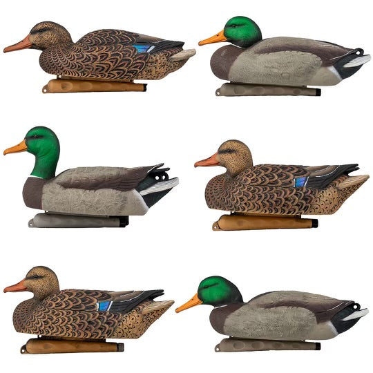 DUX NXT GEN Mallard Floater Decoys