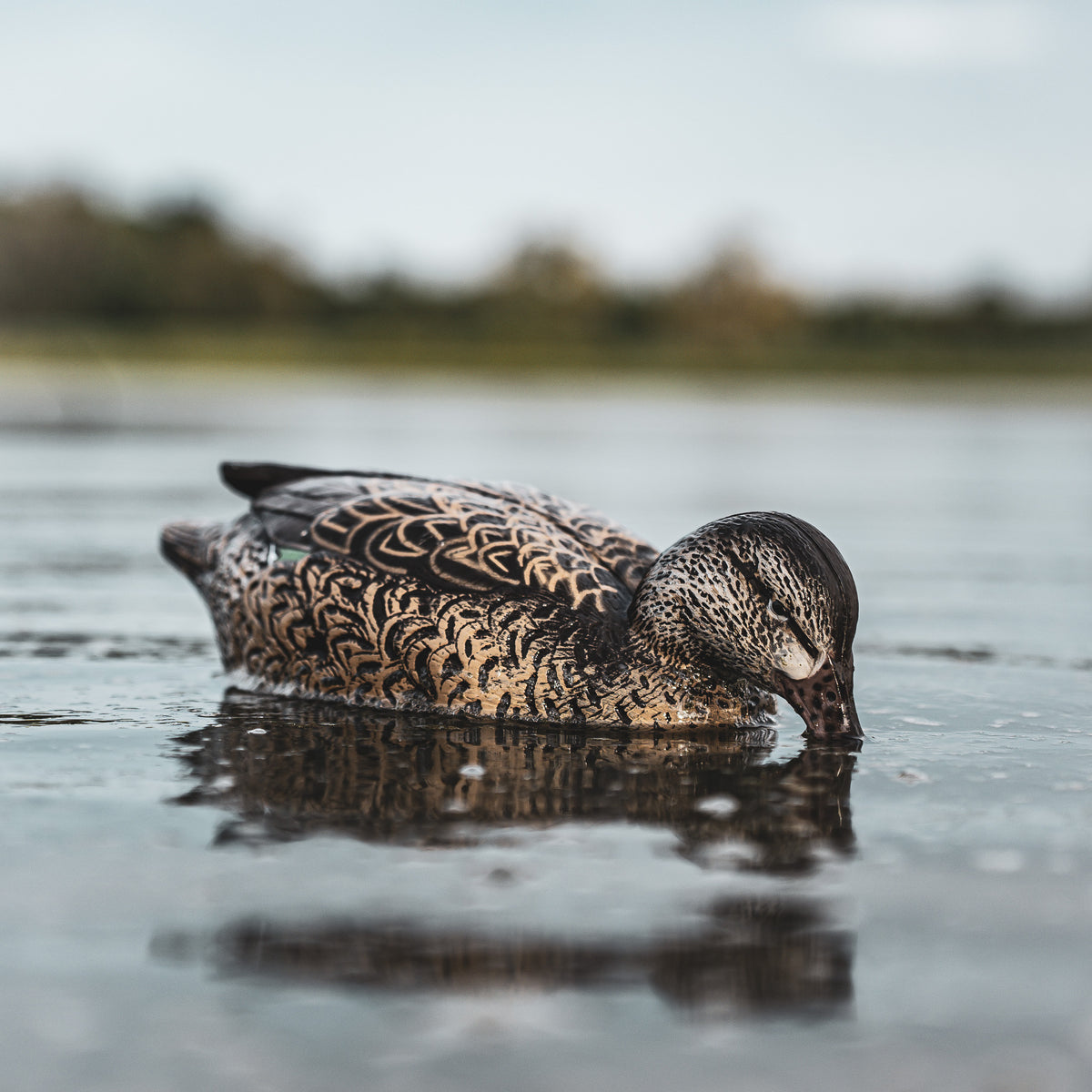 DUX NXT GEN Teal Floater Combo 12 pack