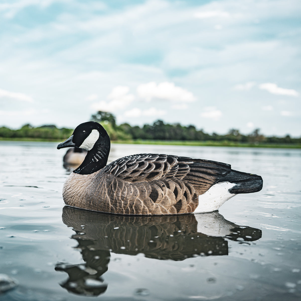 DUX Fully Flocked Goose Floater 4 pack