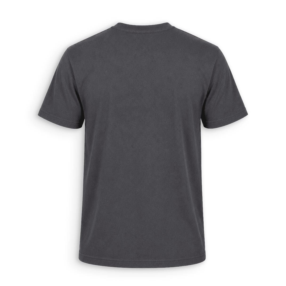A dark gray short-sleeve crewneck t-shirt shown from the back, photographed against a clean white background.
