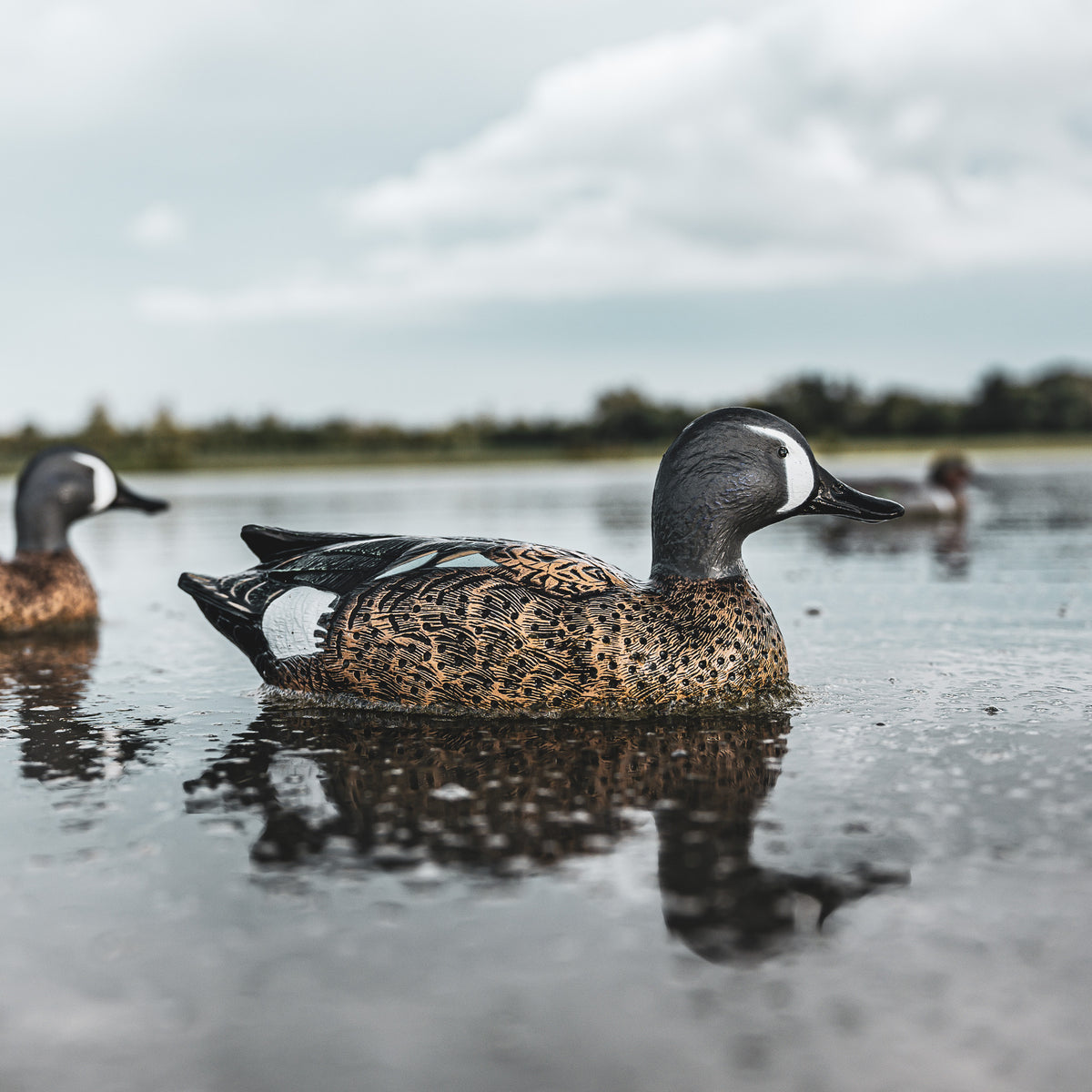 DUX NXT GEN Teal Floater Combo 12 pack
