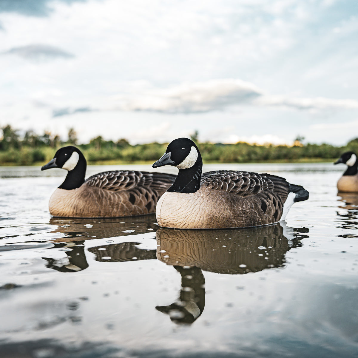 DUX Fully Flocked Goose Floater 4 pack