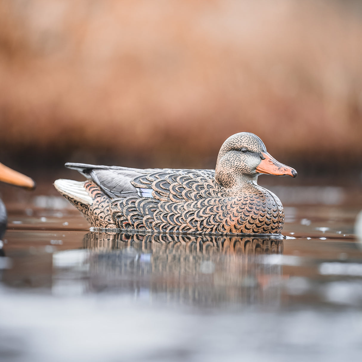 DUX NXT GEN Mallard Floater Decoys