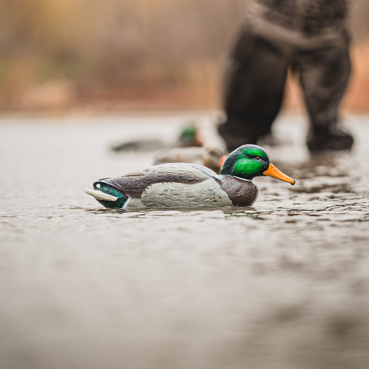 DUX NXT GEN Mallard Floater Decoys