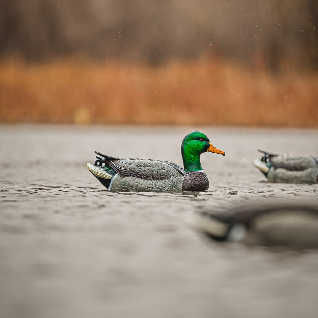 DUX NXT GEN Mallard Floater Decoys