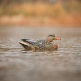 DUX NXT GEN Mallard Floater Decoys