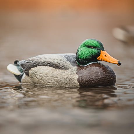 DUX NXT GEN Mallard Floater Decoys