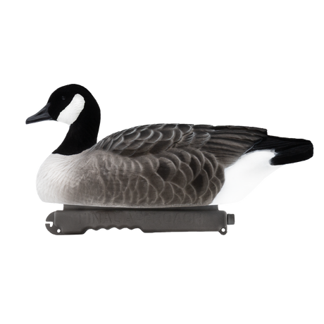 DUX Fully Flocked Goose Floater 4 pack