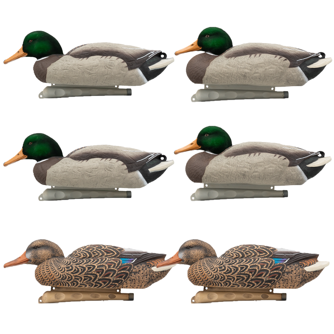 DUX Guide Series Flocked head mallard Decoy 6 pack