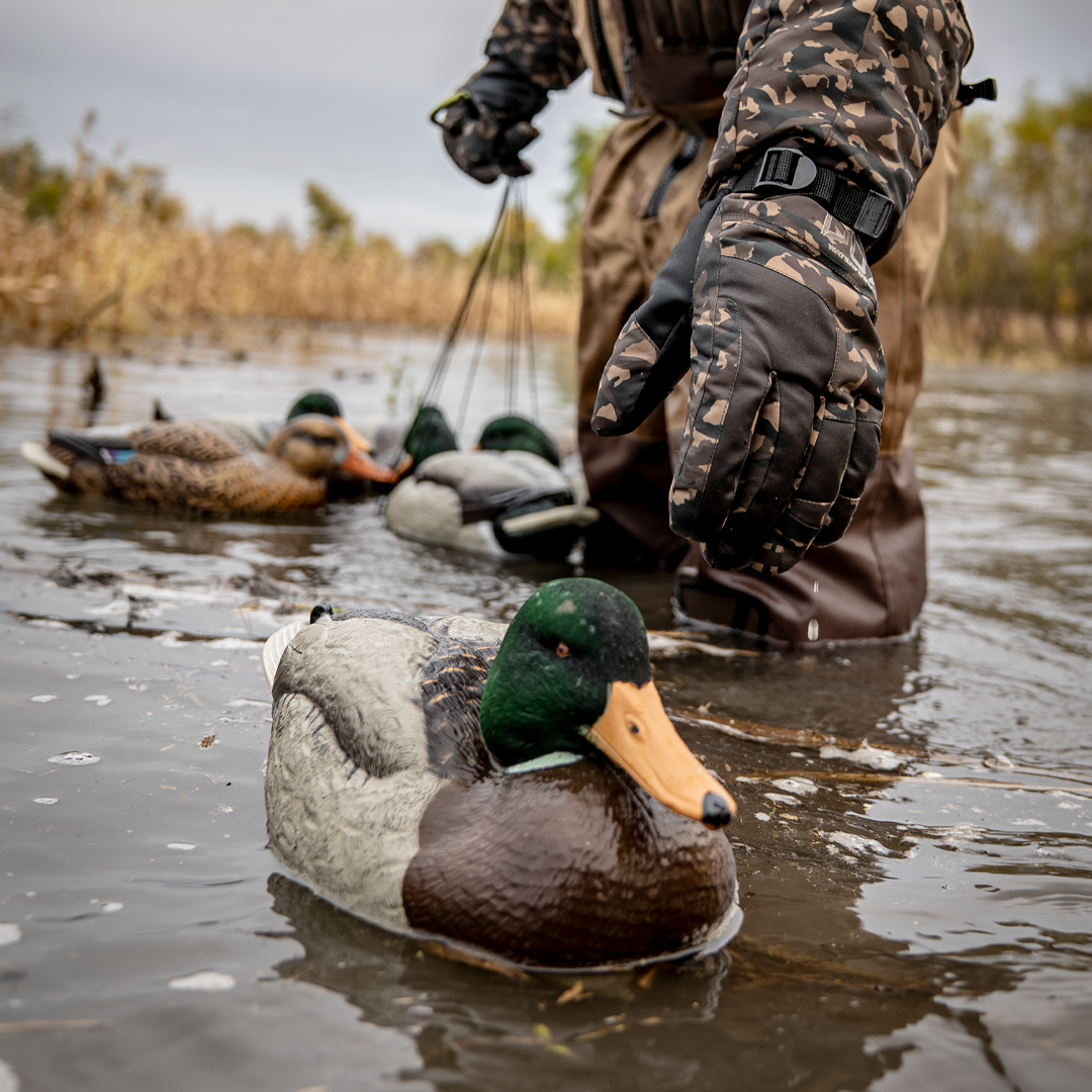 DUX Guide Series FLOCKED Head Mallard Decoy 6 pack