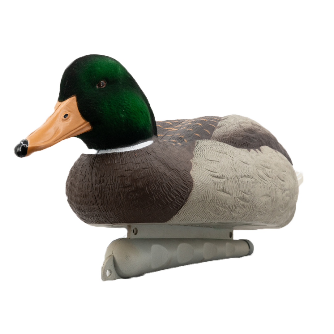 DUX Guide Series Flocked head mallard Decoy 6 pack