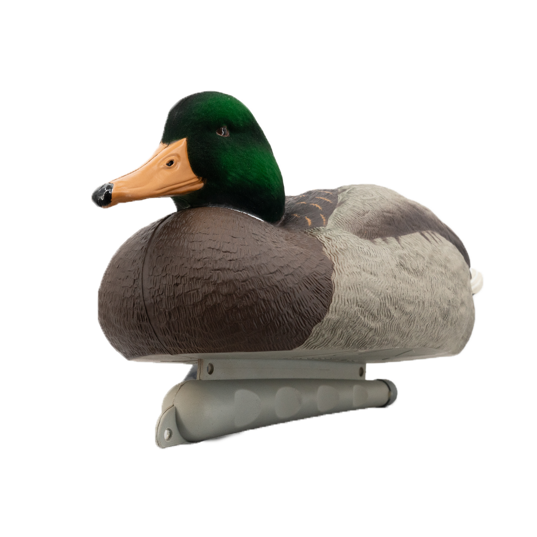 DUX Guide Series Flocked head mallard Decoy 6 pack
