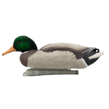 DUX Guide Series Flocked head mallard Decoy 6 pack
