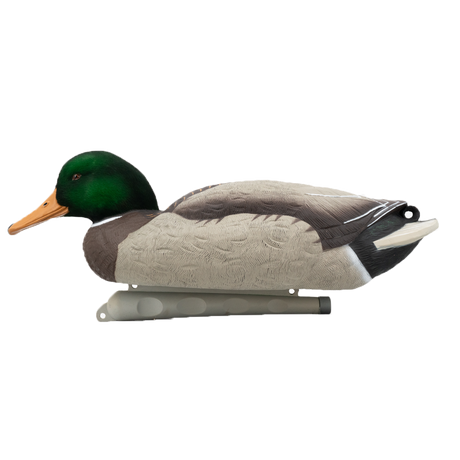 DUX Guide Series Flocked head mallard Decoy 6 pack
