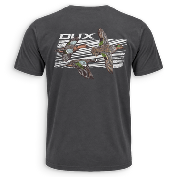 Shirt of the Month