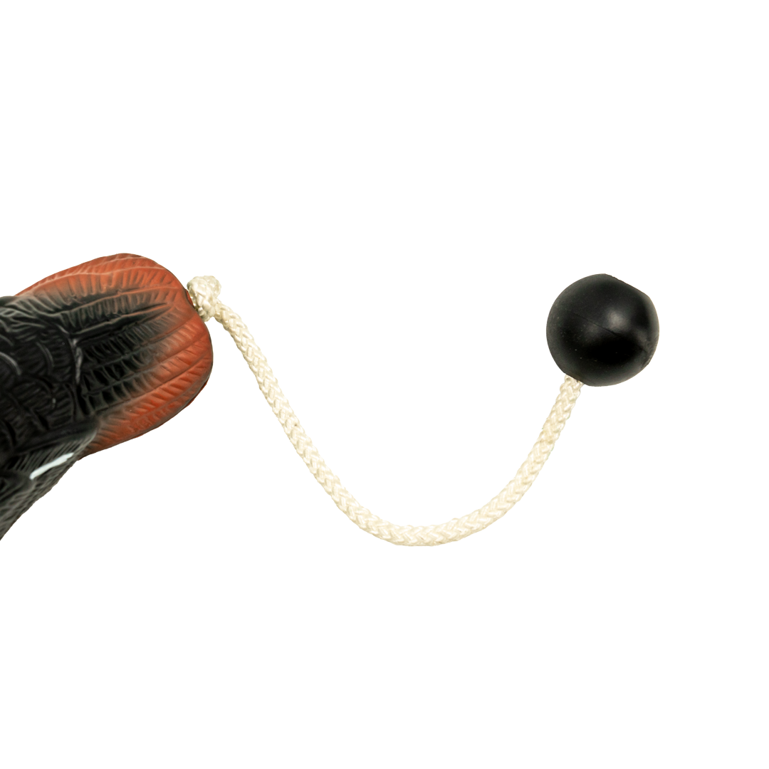 DUX Spoonie Dog Bumper