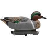 DUX NXT GEN Teal Floater Combo 12 pack