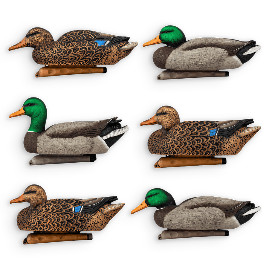 Six realistic duck hunting deco models arranged in a 2x3 grid on a plain white background. The deco ducks show different colorways, including brown and black patterned bodies, gray wings, and green or orange heads.