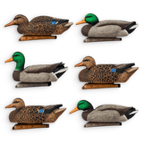 Six realistic duck hunting deco models arranged in a 2x3 grid on a plain white background. The deco ducks show different colorways, including brown and black patterned bodies, gray wings, and green or orange heads.