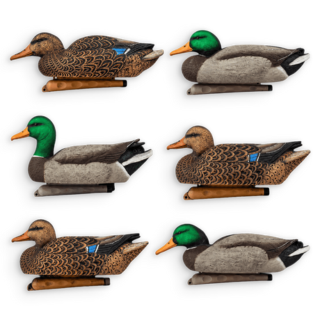 Six realistic duck hunting deco models arranged in a 2x3 grid on a plain white background. The deco ducks show different colorways, including brown and black patterned bodies, gray wings, and green or orange heads.