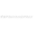 sprayandpray logo in green on a white background